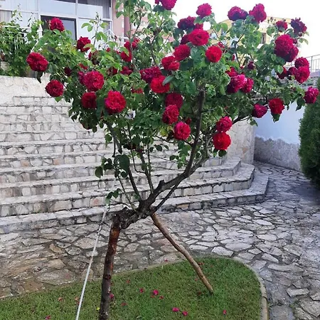 Gasthof Guest Deva 3*