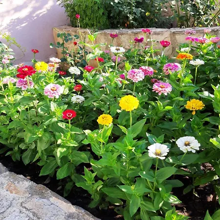 Pensión Guest Deva Burgas