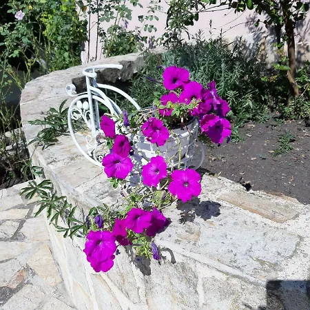 Pensión Guest Deva 3*