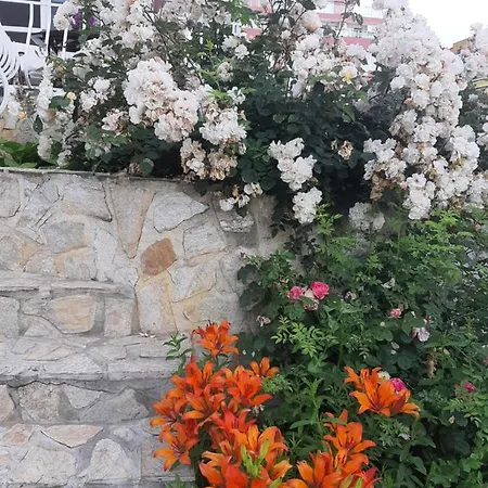 Pensión Guest Deva 3*