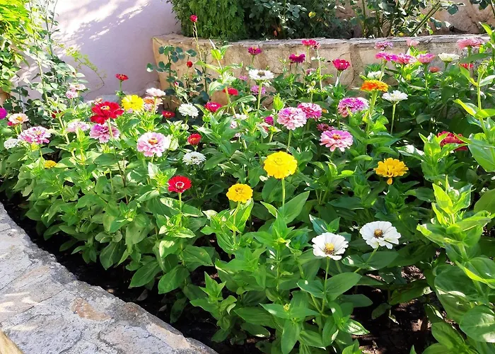 Casa de hóspedes Guest Deva Burgas