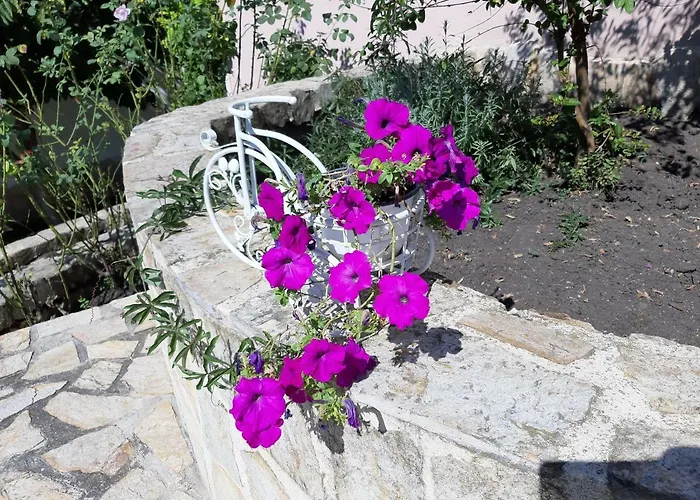 Casa de hóspedes Guest Deva 3*