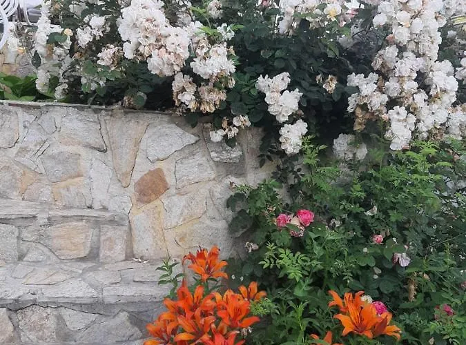 Casa de hóspedes Guest Deva 3*