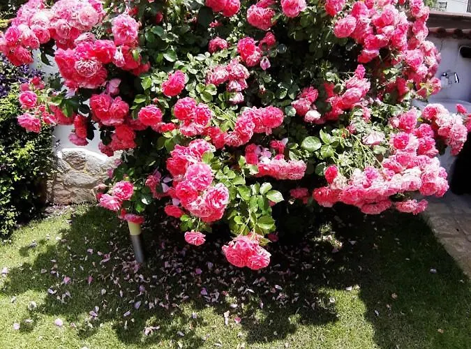 Casa de hóspedes Guest Deva