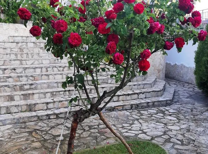 Casa de hóspedes Guest Deva 3*